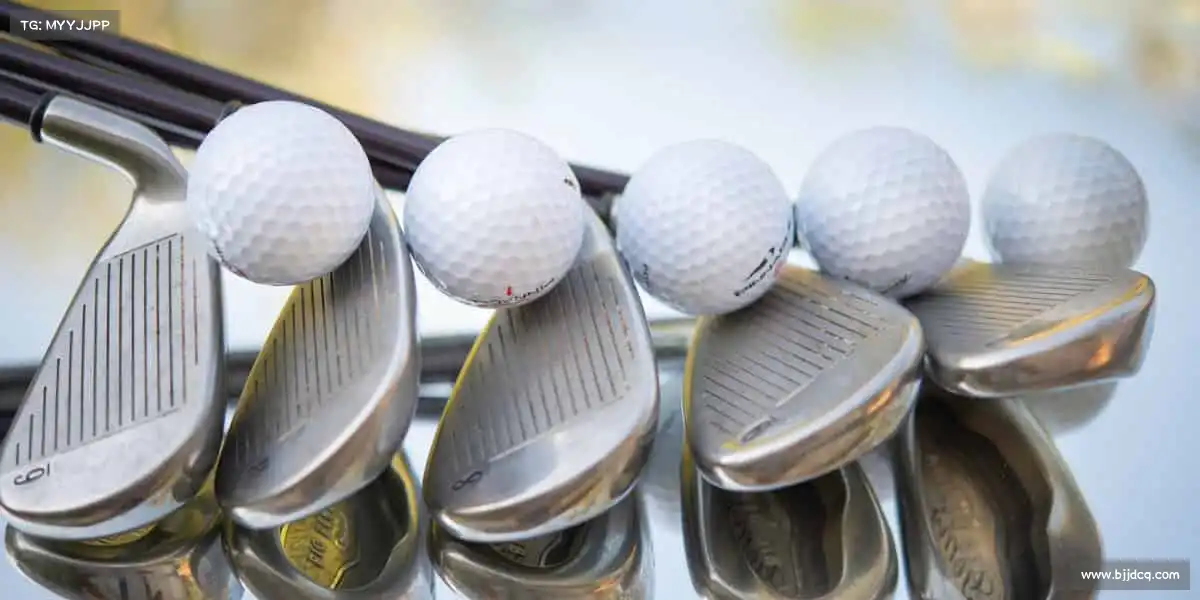 行业领先的理由